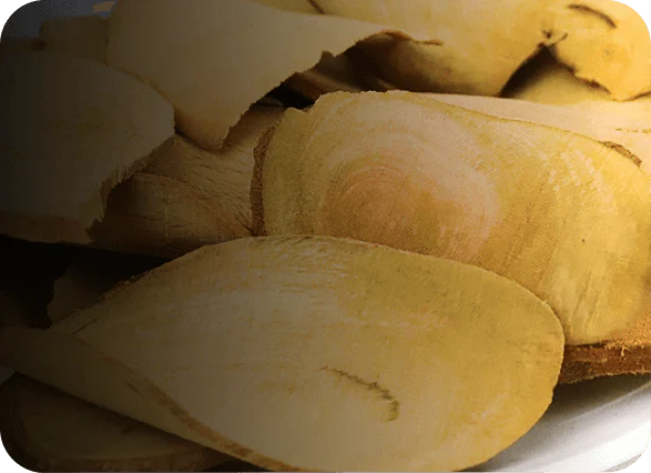 Citicoline (CDP-Choline)