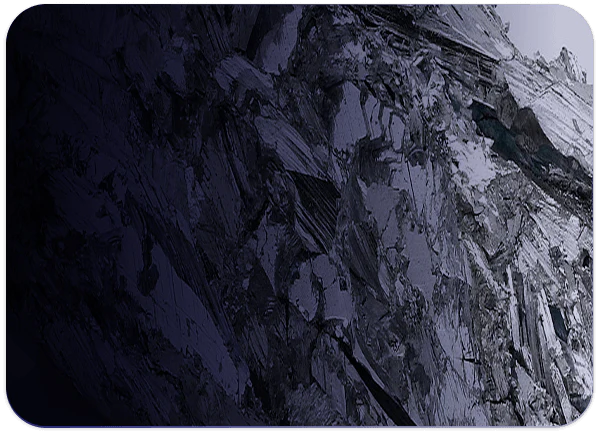 Panax Ginseng Extract